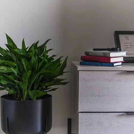 アパート Creative 1br Pool View With Covered Parking *